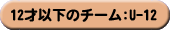 12�ˈȉ��̃`�[��
