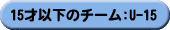 15�ˈȉ��̃`�[��